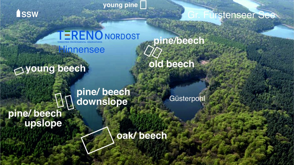 Fig 4. TERENO-Northeast - Hinnensee